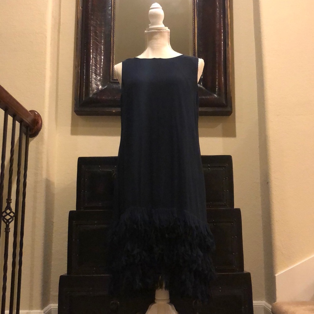 BW Taylor Navy Blue Feathered Dress